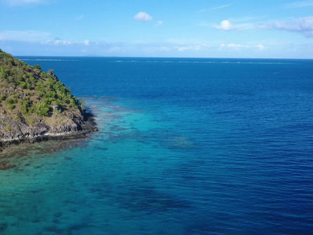 Fishy Fishy in Fiji