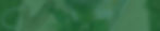 Wildkräuter4.jpg
