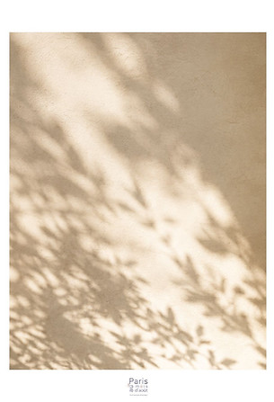 Design sans titre (17).jpg