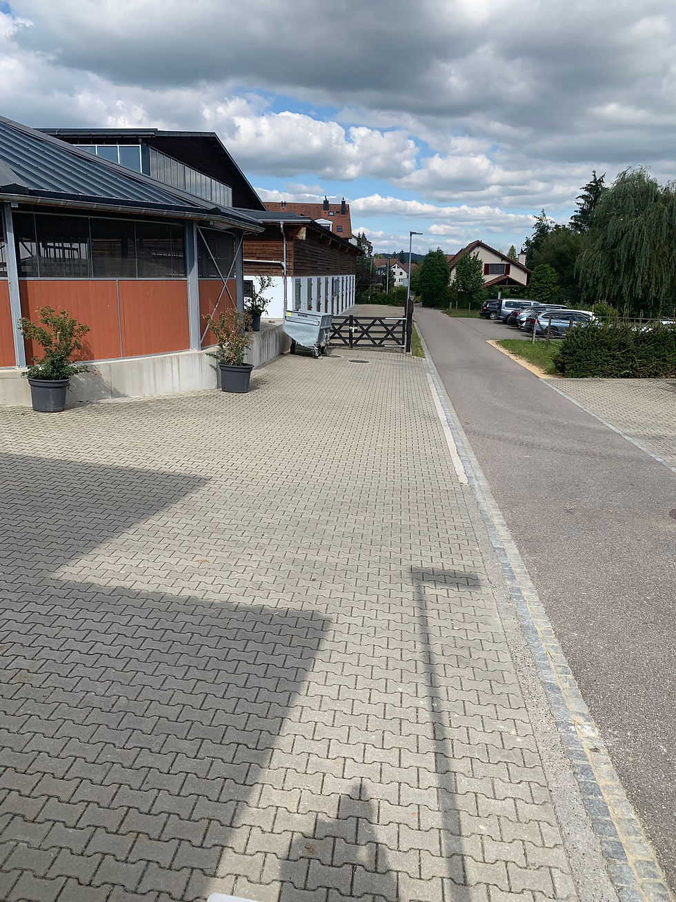 Zufahrtsstrasse zum Dojo beim Pferdestall Mettauer in 5073 Gipf-Oberfrick