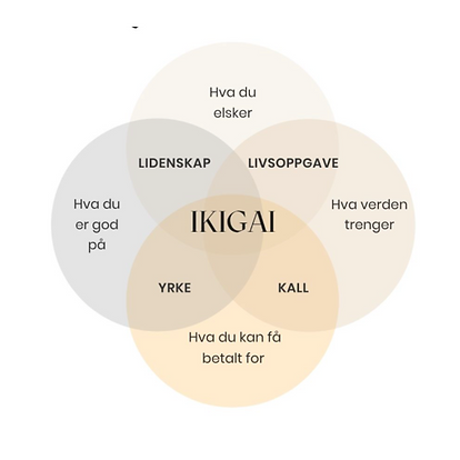 Skjermbilde 2025-05-03 kl. 17.34.22.png
