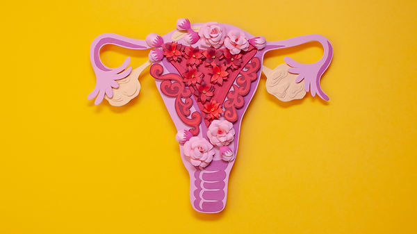 Female reproductive organ