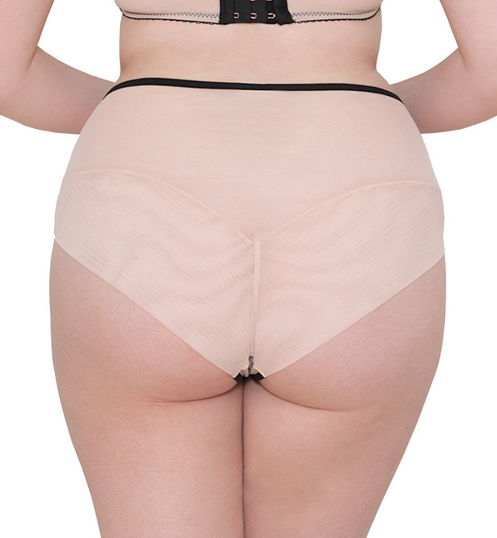 Thumbnail: KNOCK OUT / BRIEF