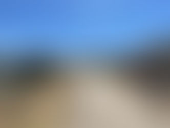 Agosto 2022 | Recorrido de campo