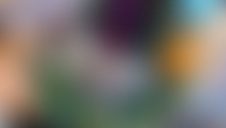 Diciembre 2025 | Taller de velas aromáticas