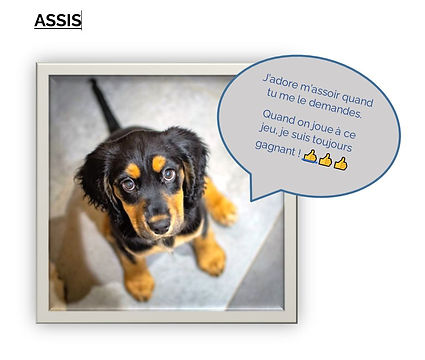 assis .JPG