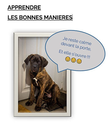 les bonnes manières.JPG