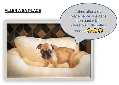 aller à sa place .JPG
