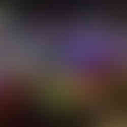 bowlen met de Harold van Zundert Stichtingbowlen met de Harold van Zundert Stichting