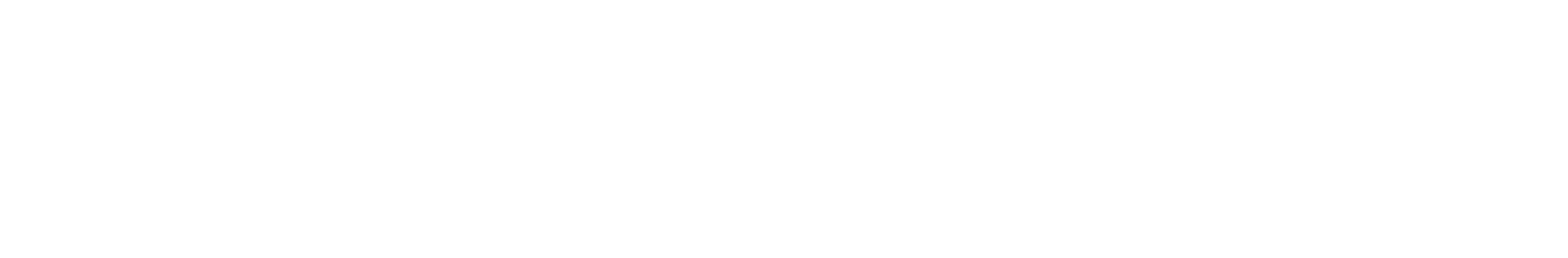 Logotype V2 - White.png