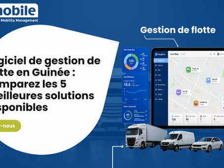 logiciel de gestion de flotte en guinée