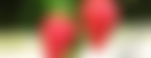 New Zealand Strawberry