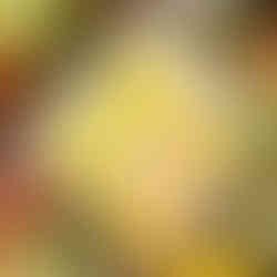 4 flavors of nata de coco with brand name is Joyce