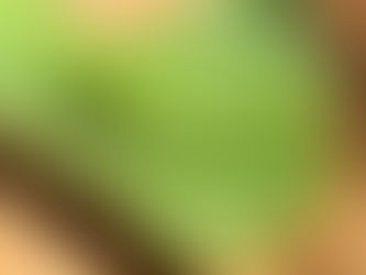 the Essence of Aloe Vera from Vietnam by Interfresh