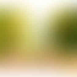 Sugarcane with Ginger