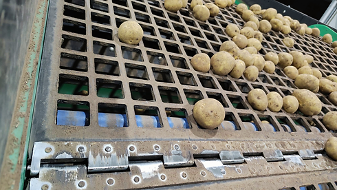 Projekt bez nazwy.png