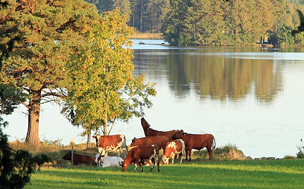 7D_5702_2.jpg