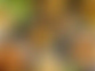 13 Iconic African Foods You Have To Try Before You Die