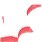 right wing.png