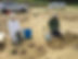 Bunchberry_Meadows.jpg