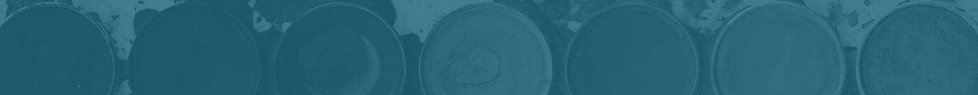 teal background2.png