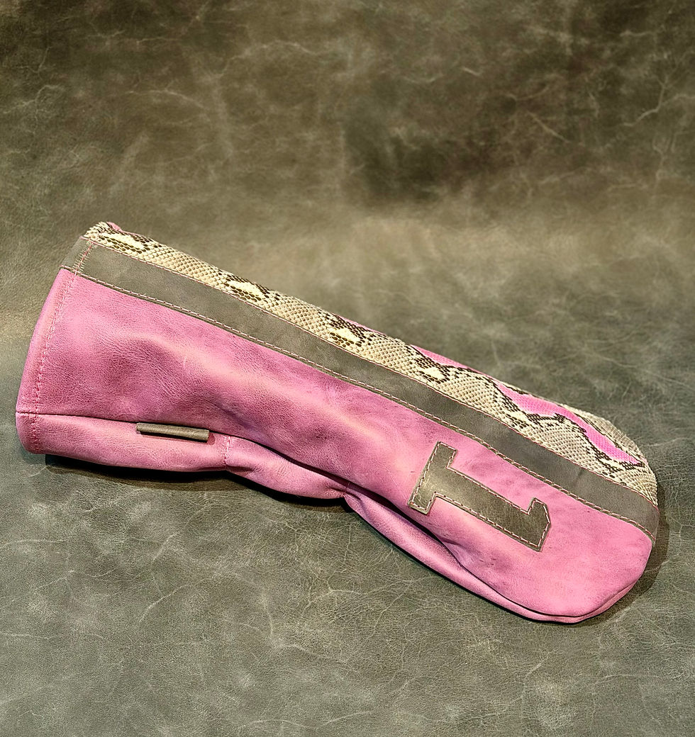 Thumbnail: Plum Sovereign—Python Driver Cover