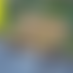 balancing patience with taking action