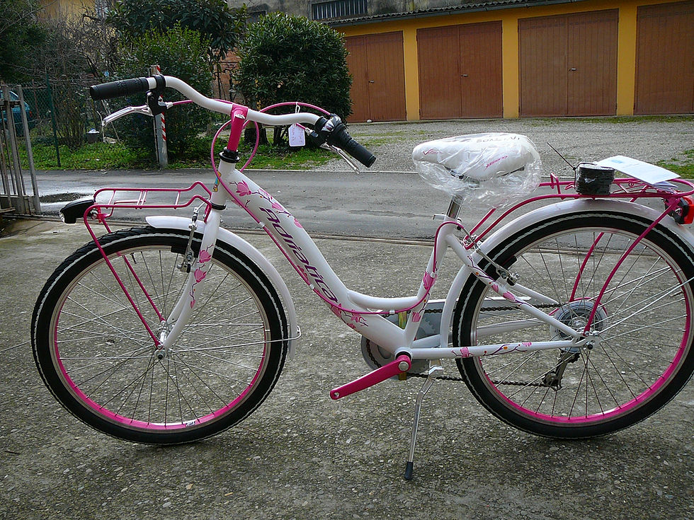 CTB 24" FEMMINA