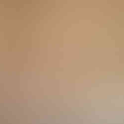 Finished interior of backyard shed turned into modern living space