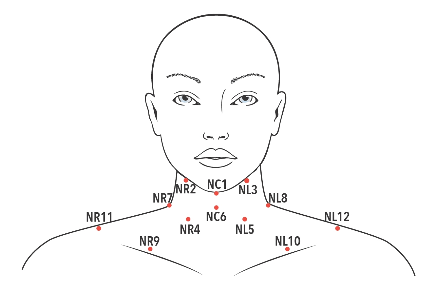 Neck