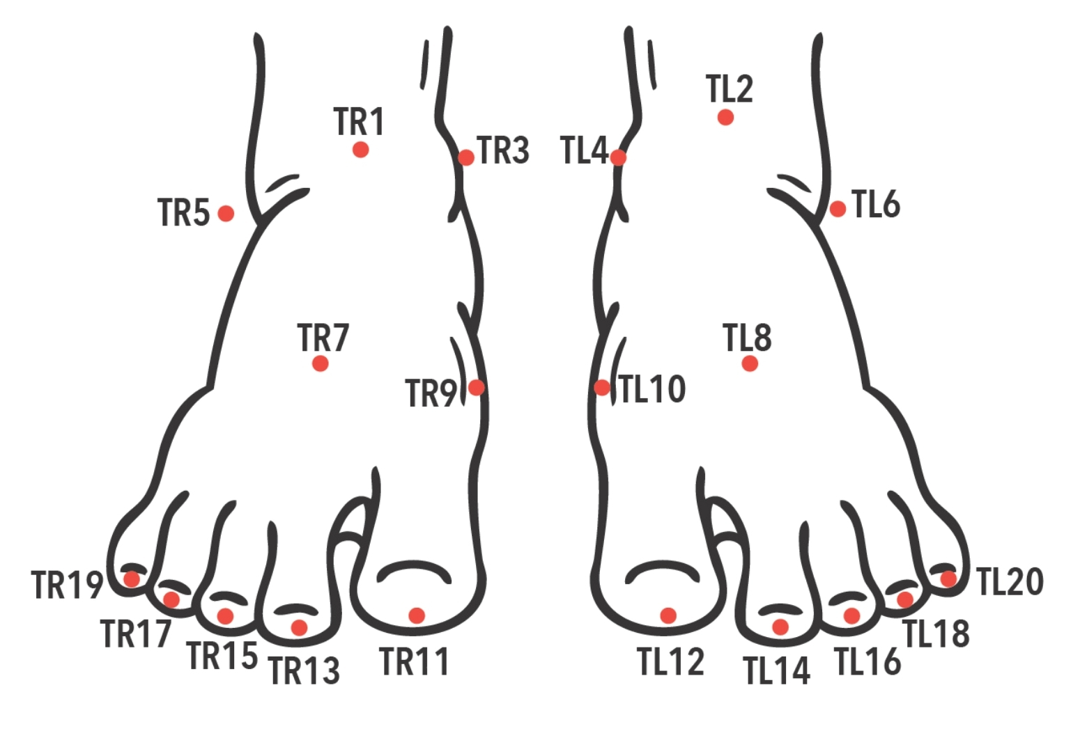 Feet