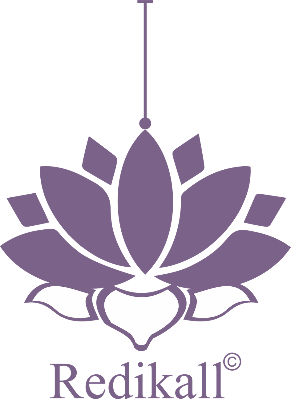 Pink Lotus Bloom