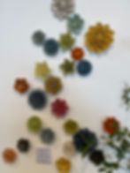 IMG_3268