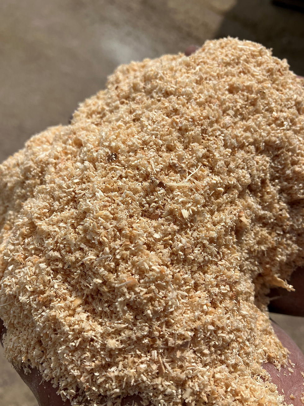 Thumbnail: Sawdust tote bag