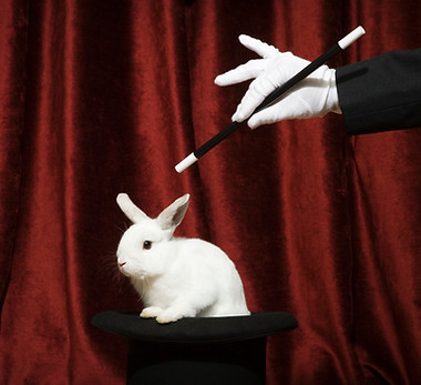 Tour de magie du lapin
