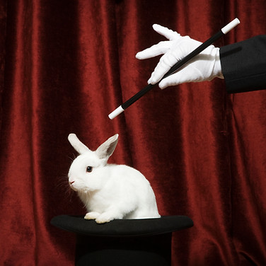 Pulling a Rabbit Out of a Hat