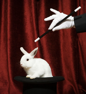 Magic Rabbit Trick