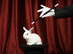 Pulling a Rabbit Out of a Hat
