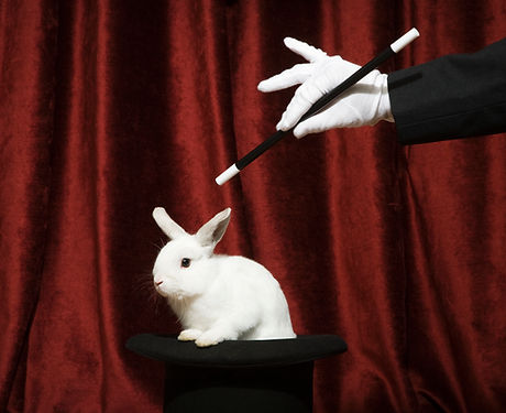 Pulling a Rabbit Out of a Hat