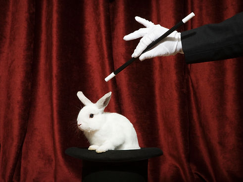 Magic Rabbit Trick