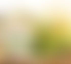 Produtor deve definir opção de recolhimento do Funrural e regimes tributários ainda em Janeiro