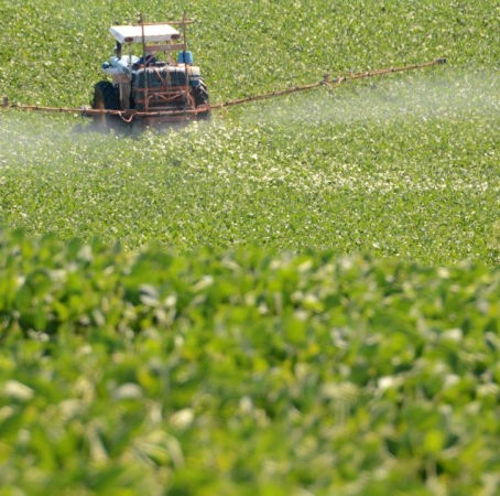 Carta aberta de entidades gaúchas do setor rural apoia projeto que altera legislação de agrotóxicos