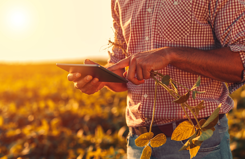 Fim do uso do talão de produtor: prazo encerra em 30 de abril e operações passam a exigir a Nota Fiscal Eletrônica