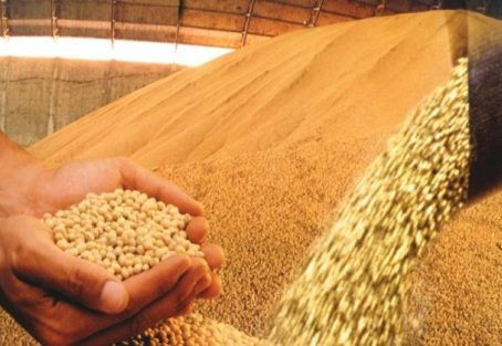 Farsul faz alerta sobre o impacto da taxa de câmbio no preço da soja