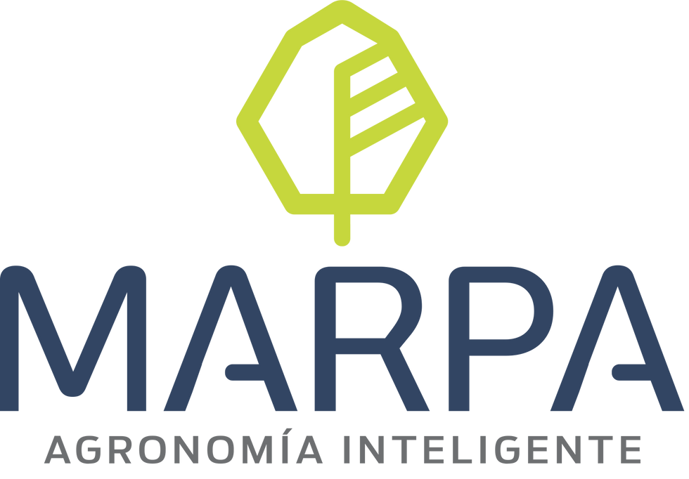 presentacion_logo (1)-4.png