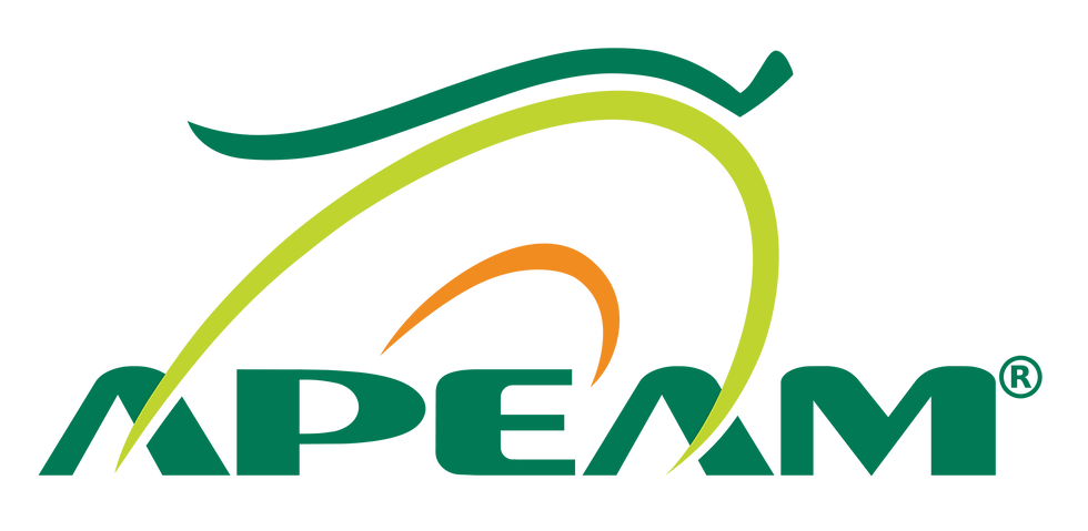 LOGO APEAM-01.png