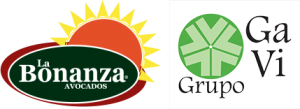 Bonanza-gavi-png-300x109.png