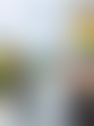 Mais um desafio concluído: nosso colaborador Augusto participa do Ironman 70.3 Florianópolis