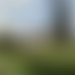 MAISONS INDIVIDUELLES À L'ÉTUDE