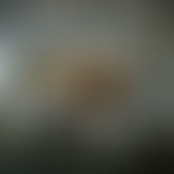 AVANT DE PARTIR EN VACANCES